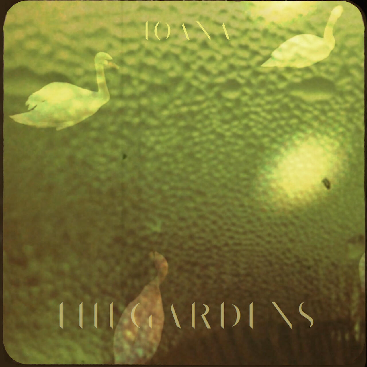 The Gardens